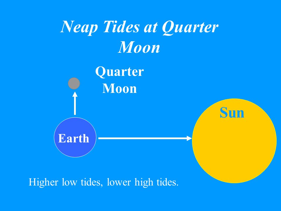 Spring Tides at New Moon Sun Earth New Moon Higher high tides, lower low tides.