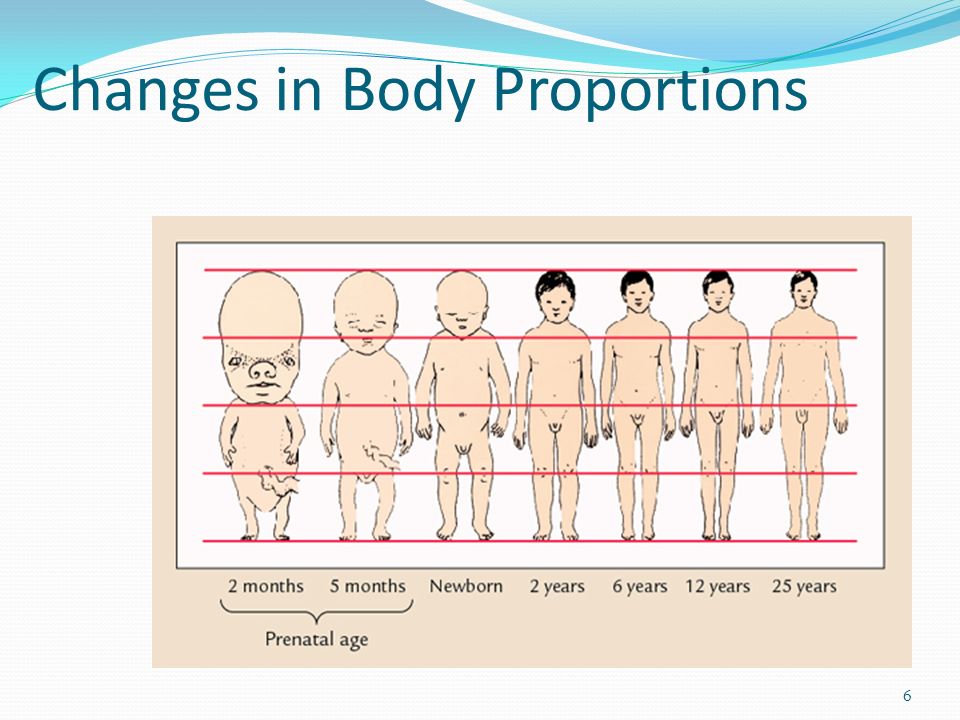 Essays On Body Image