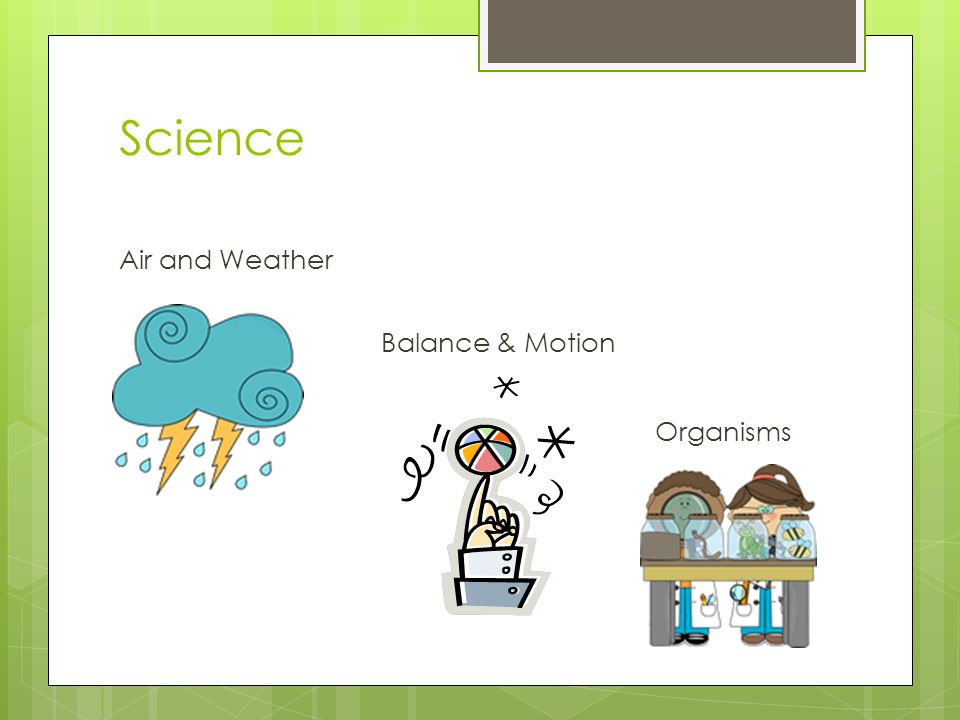 Science Air and Weather Balance & Motion Organisms