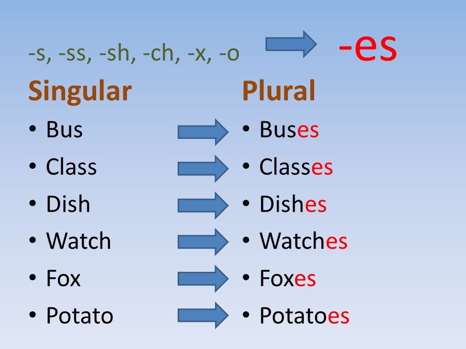 -s, -ss, -sh, -ch, -x, -o - -es Singular Bus Class Dish Watch Fox Potato Plural Buses Classes Dishes Watches Foxes Potatoes