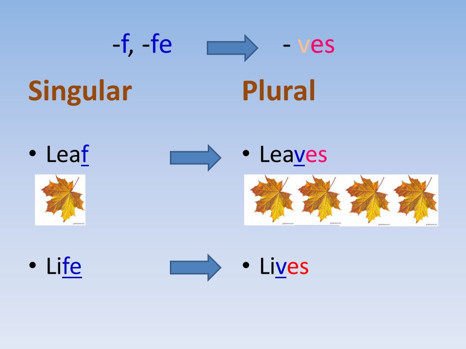 -f, -fe - ves Singular Leaf Life Plural Leaves Lives