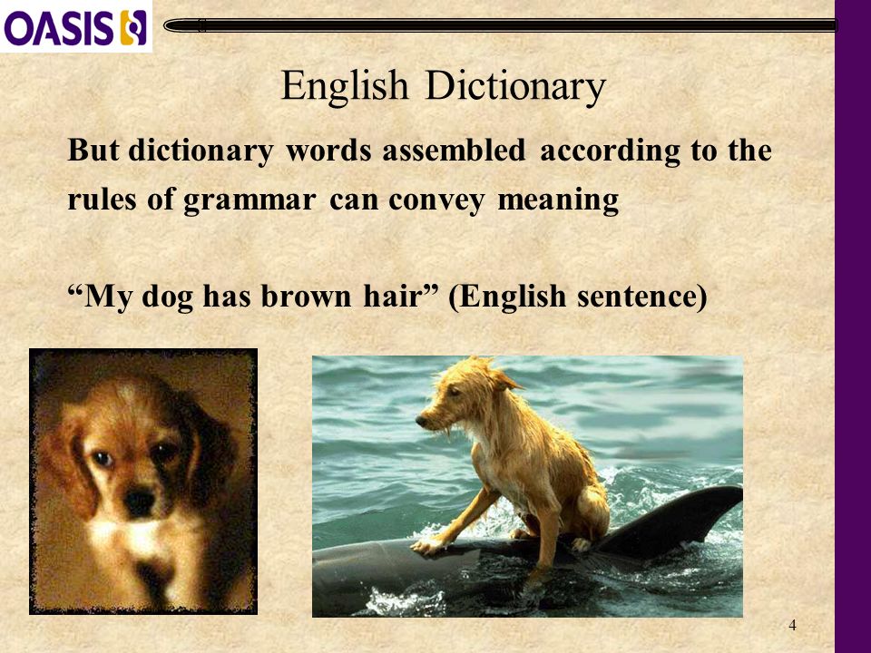 4 But dictionary words assembled according to the rules of grammar can convey meaning My dog has brown hair (English sentence) English Dictionary