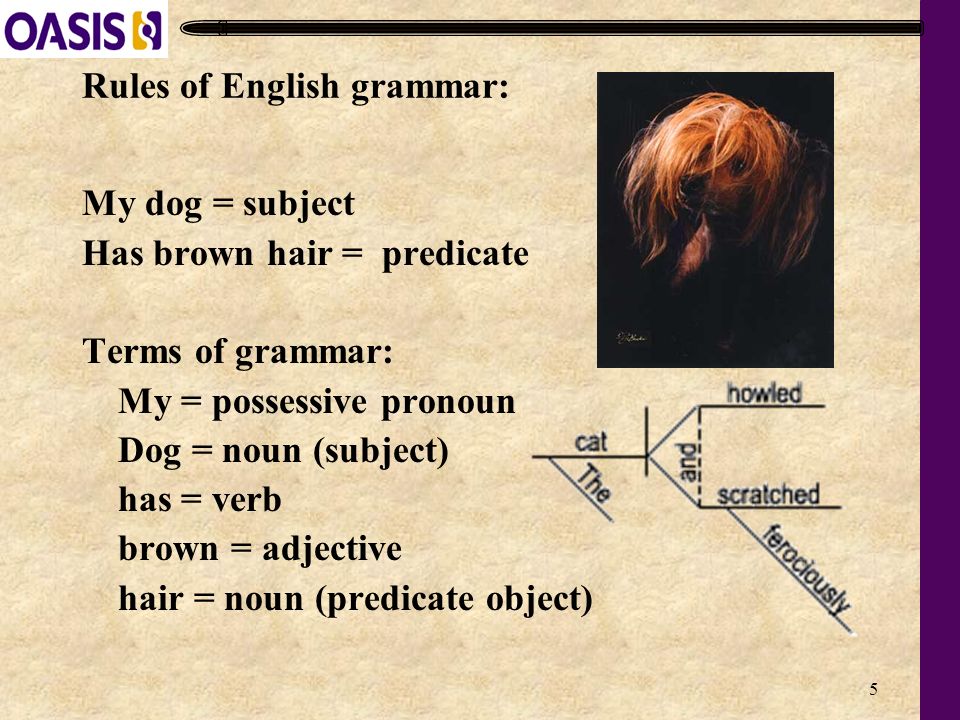 5 My dog = subject Has brown hair = predicate Terms of grammar: My = possessive pronoun Dog = noun (subject) has = verb brown = adjective hair = noun (predicate object) Rules of English grammar: