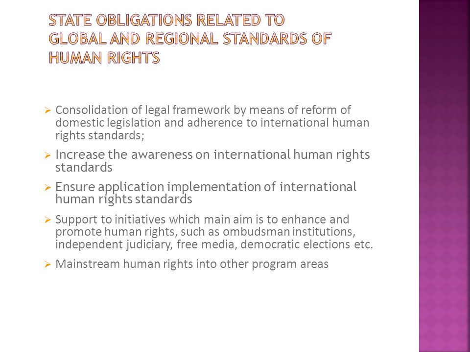  Consolidation of legal framework by means of reform of domestic legislation and adherence to international human rights standards;  Increase the awareness on international human rights standards  Ensure application implementation of international human rights standards  Support to initiatives which main aim is to enhance and promote human rights, such as ombudsman institutions, independent judiciary, free media, democratic elections etc.