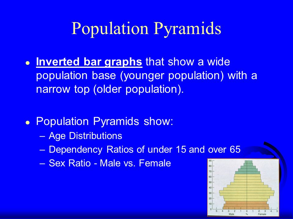 Population Pyramids ● Inverted bar graphs that show a wide population base (younger population) with a narrow top (older population).
