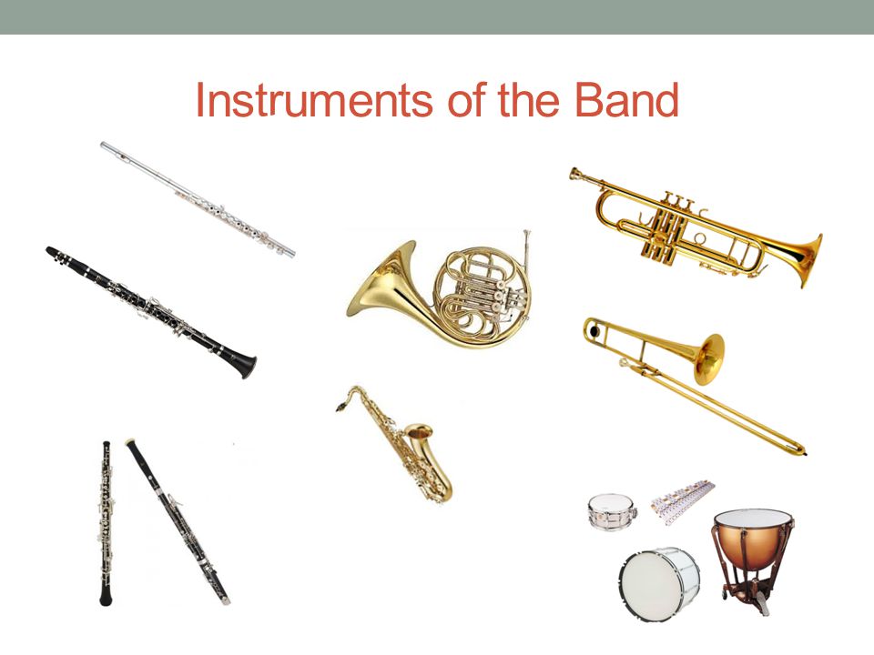 instruments of the band. flute woodwind blow air