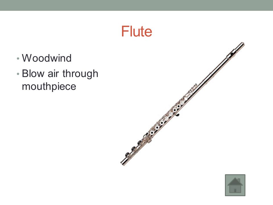 instruments of the band. flute woodwind blow air