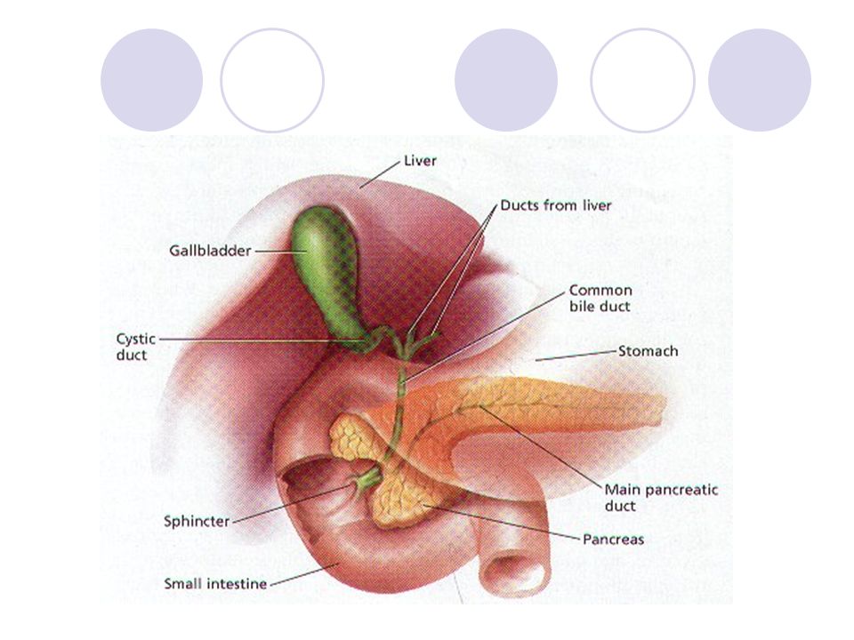 gallbladder disorders