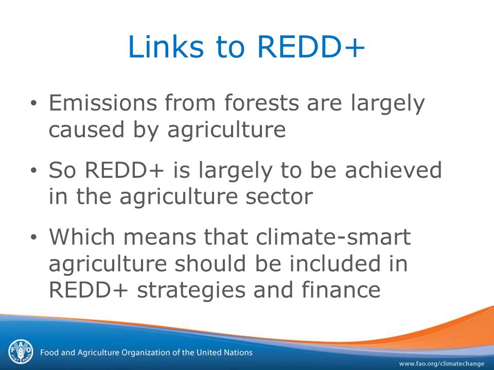 Links to REDD+ Emissions from forests are largely caused by agriculture So REDD+ is largely to be achieved in the agriculture sector Which means that climate-smart agriculture should be included in REDD+ strategies and finance