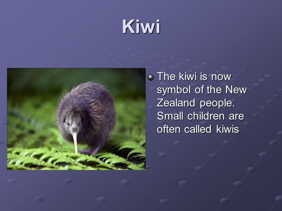 Kiwi The kiwi is now symbol of the New Zealand people. Small children are often called kiwis