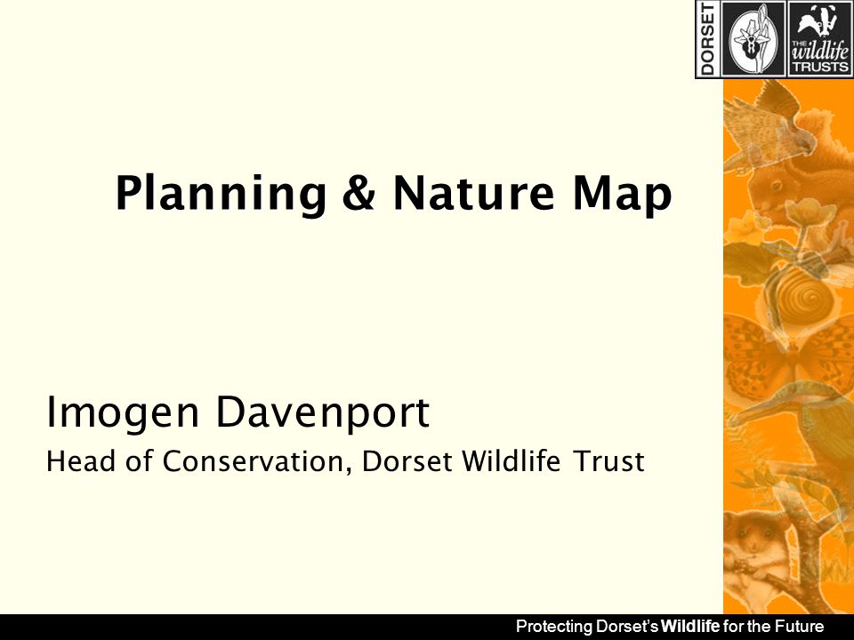 protecting dorset's wildlife for the future planning & nature map protecting dorset's wildlife for the future planning & nature map, Presentation templates