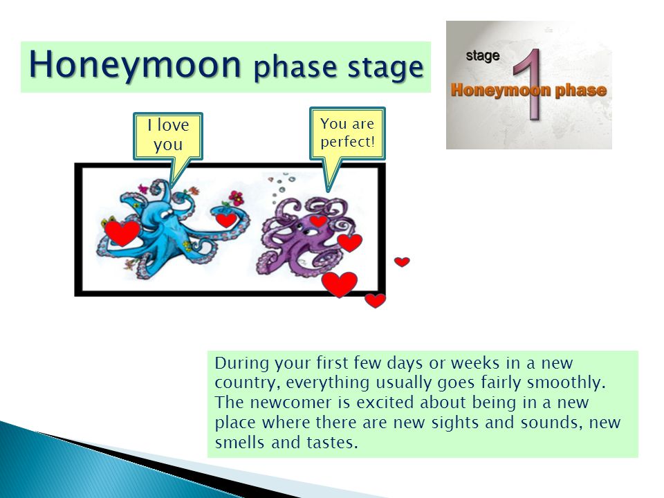Honeymoon phase stage During your first few days or weeks in a new country, everything usually goes fairly smoothly.