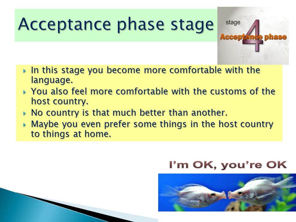  In this stage you become more comfortable with the language.