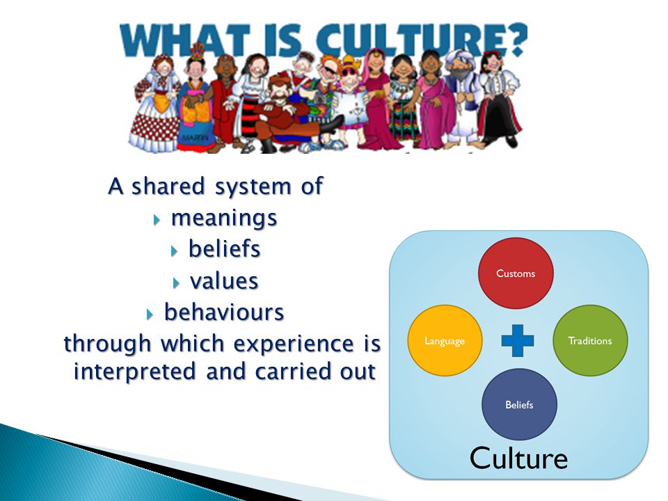 A shared system of  meanings  beliefs  values  behaviours through which experience is interpreted and carried out through which experience is interpreted and carried out