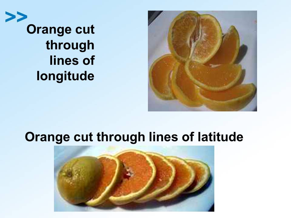 Orange cut through lines of longitude Orange cut through lines of latitude