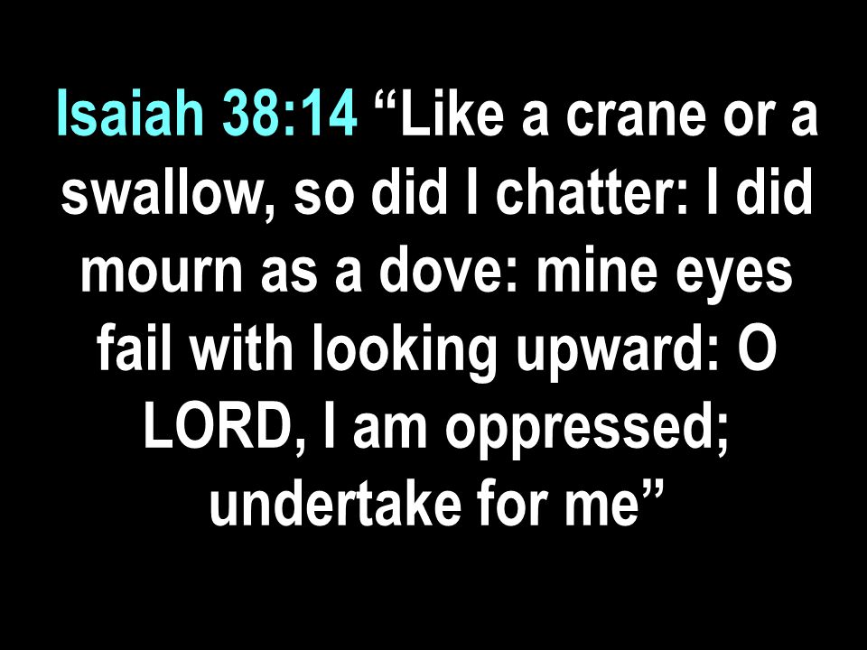Isaiah 38:14 Like a crane or a swallow, so did I chatter: I did mourn as a dove: mine eyes fail with looking upward: O LORD, I am oppressed; undertake for me