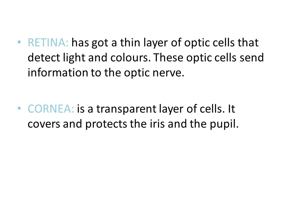 RETINA: has got a thin layer of optic cells that detect light and colours.