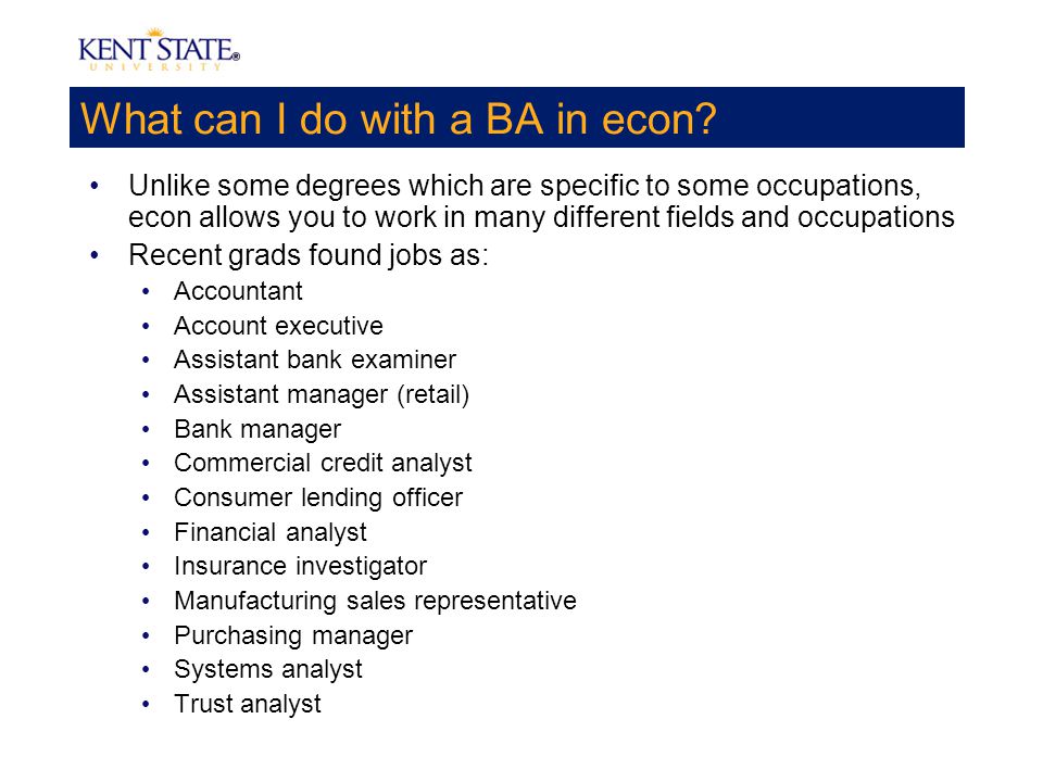 economics major jobs