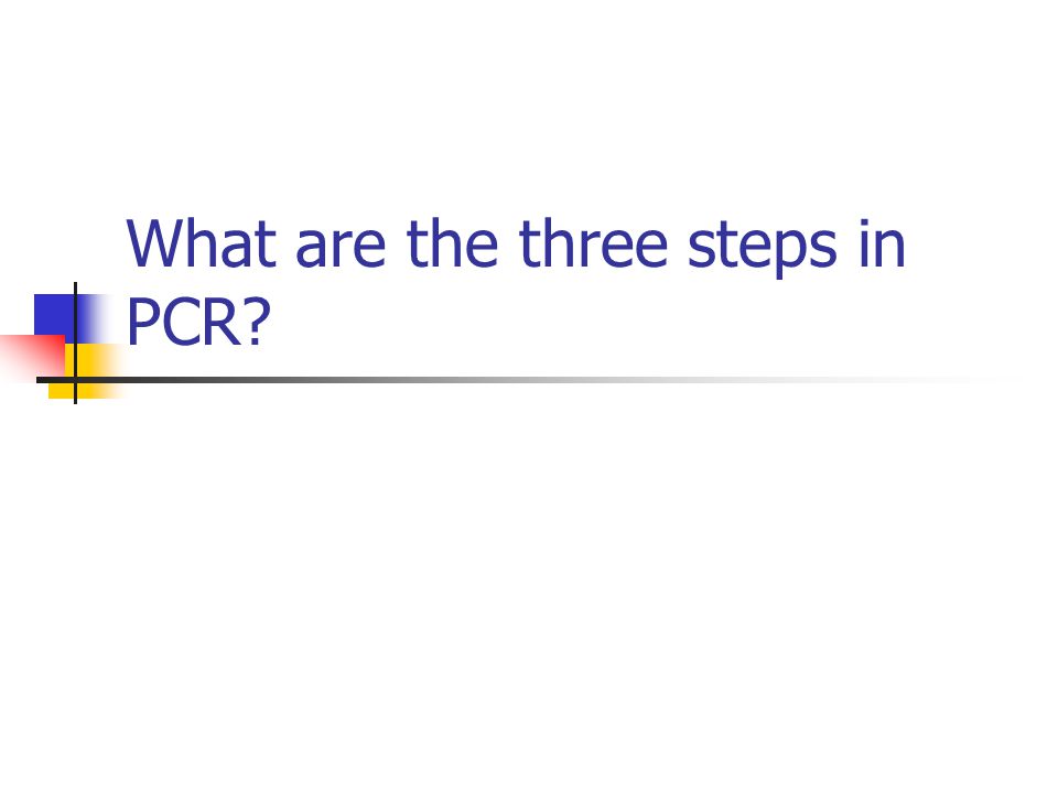 What are the three steps in PCR
