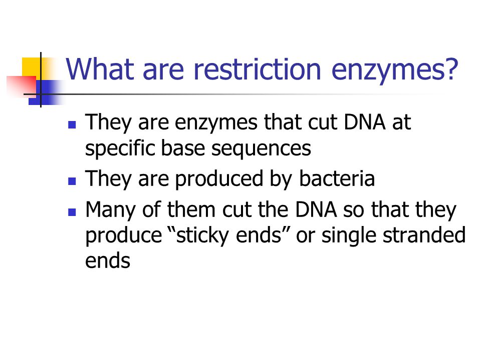 They are enzymes that cut DNA at specific base sequences They are produced by bacteria Many of them cut the DNA so that they produce sticky ends or single stranded ends