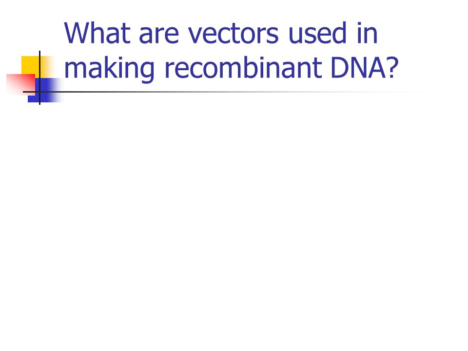 What are vectors used in making recombinant DNA