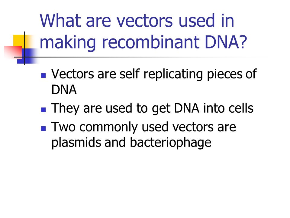 Vectors are self replicating pieces of DNA They are used to get DNA into cells Two commonly used vectors are plasmids and bacteriophage