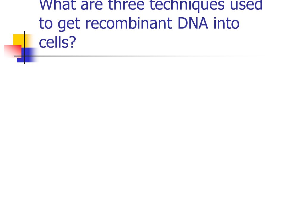 What are three techniques used to get recombinant DNA into cells