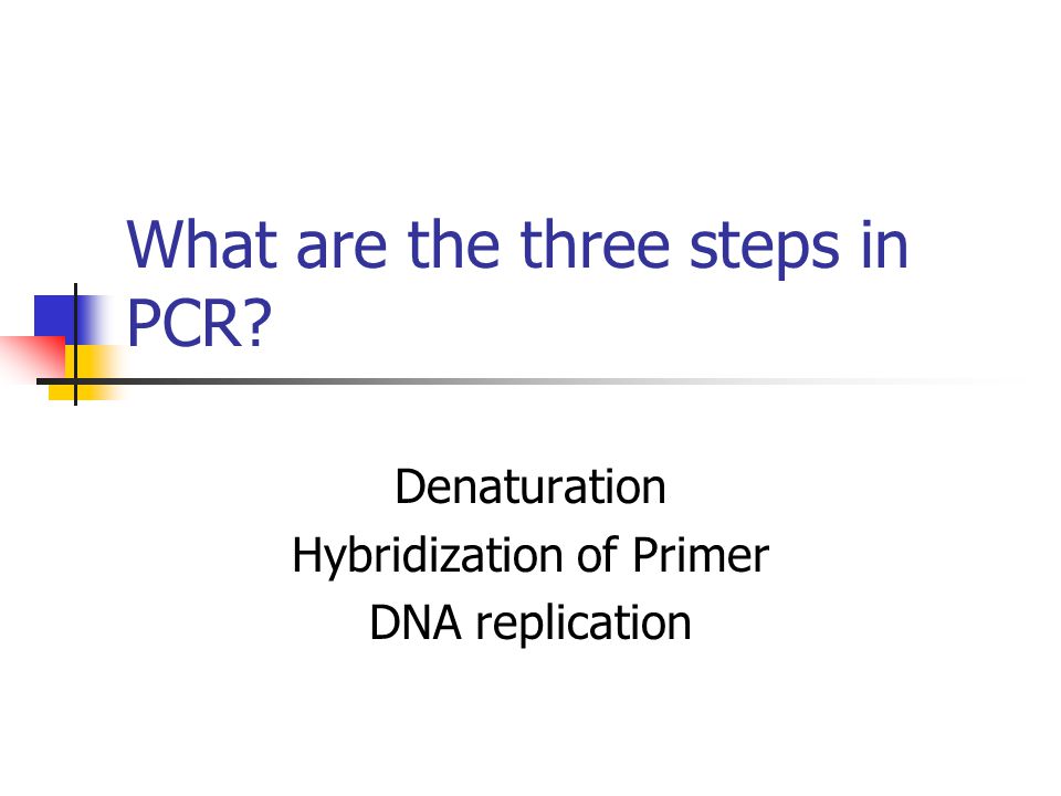 Denaturation Hybridization of Primer DNA replication