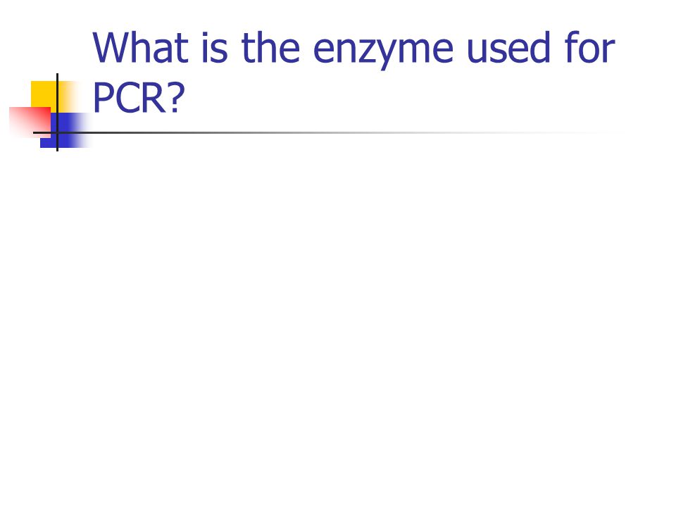 What is the enzyme used for PCR