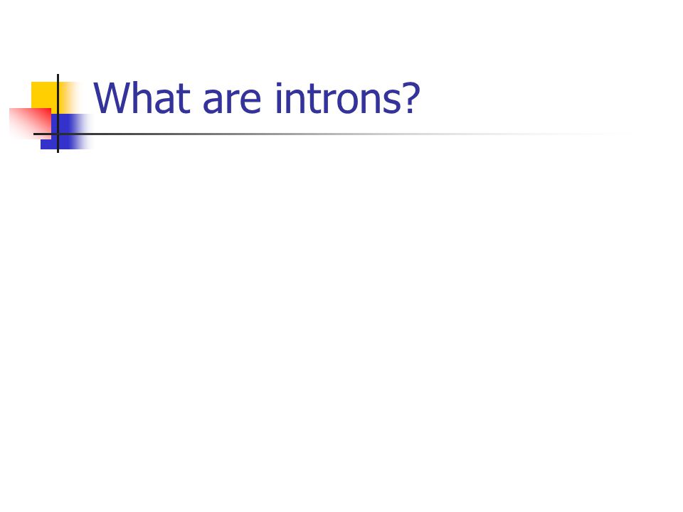 What are introns