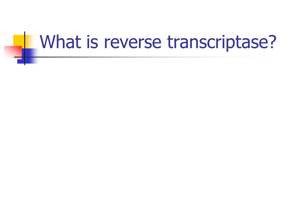 What is reverse transcriptase