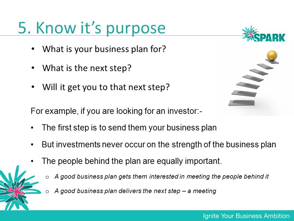 Business plan investors example