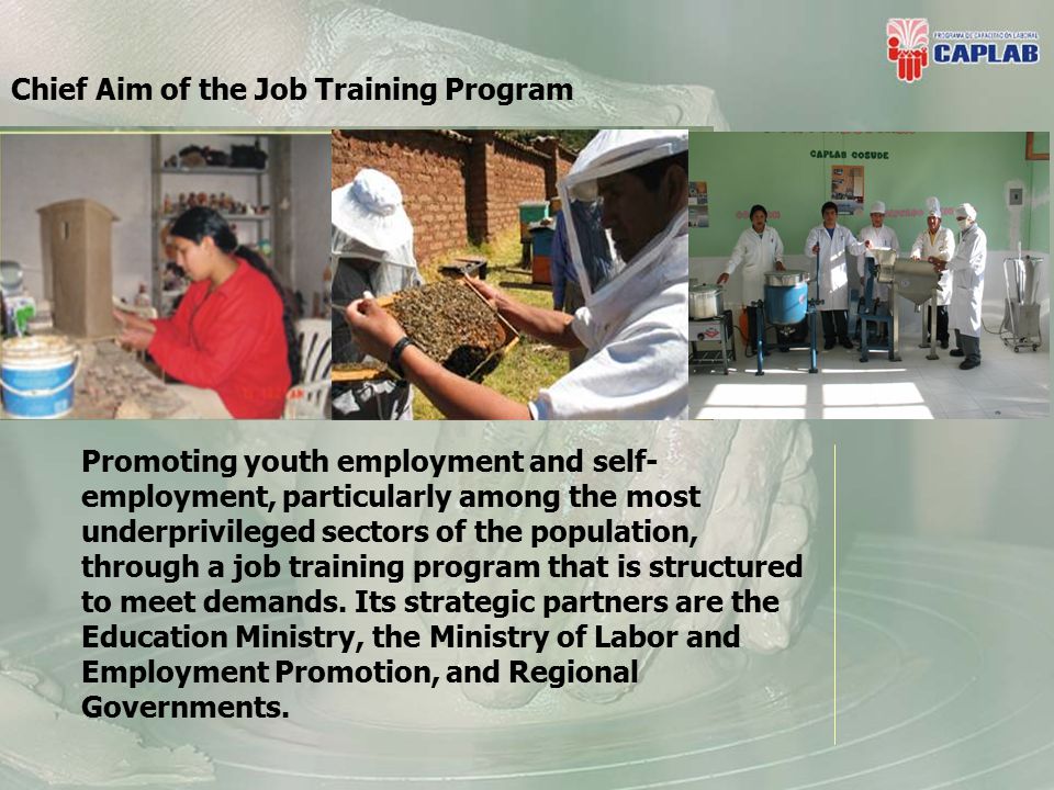 Chief Aim of the Job Training Program Promoting youth employment and self- employment, particularly among the most underprivileged sectors of the population, through a job training program that is structured to meet demands.