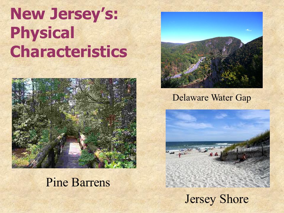 New Jersey’s: Physical Characteristics Pine Barrens Delaware Water Gap Jersey Shore