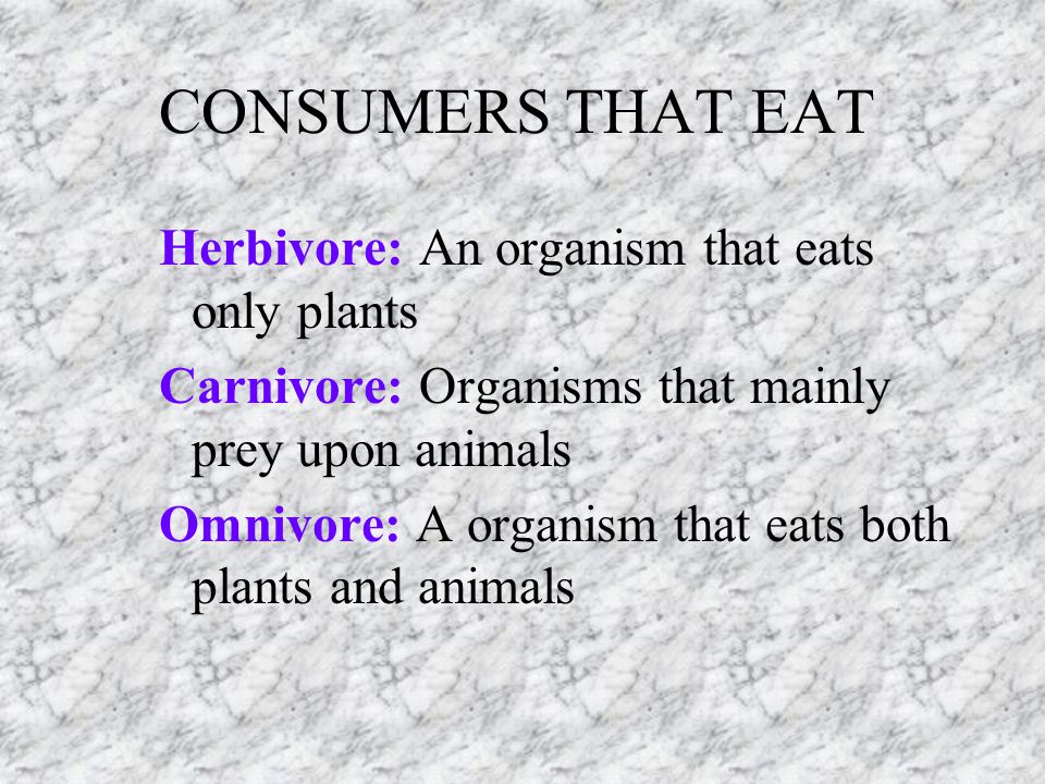 CONSUMERS THAT EAT Herbivore: An organism that eats only plants Carnivore: Organisms that mainly prey upon animals Omnivore: A organism that eats both plants and animals