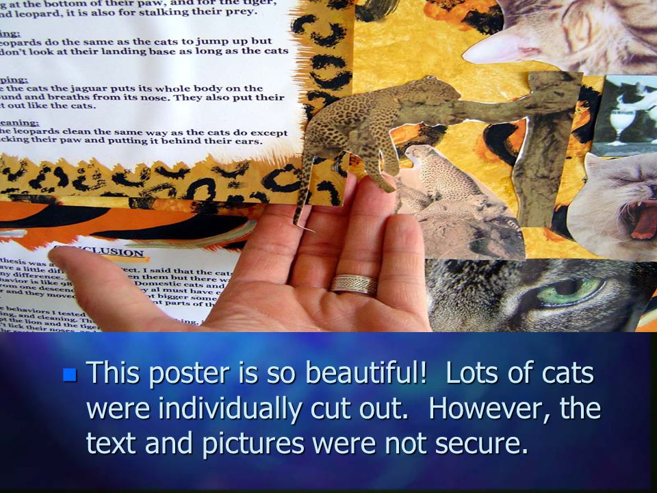 Careful Gluing n This poster is so beautiful. Lots of cats were individually cut out.