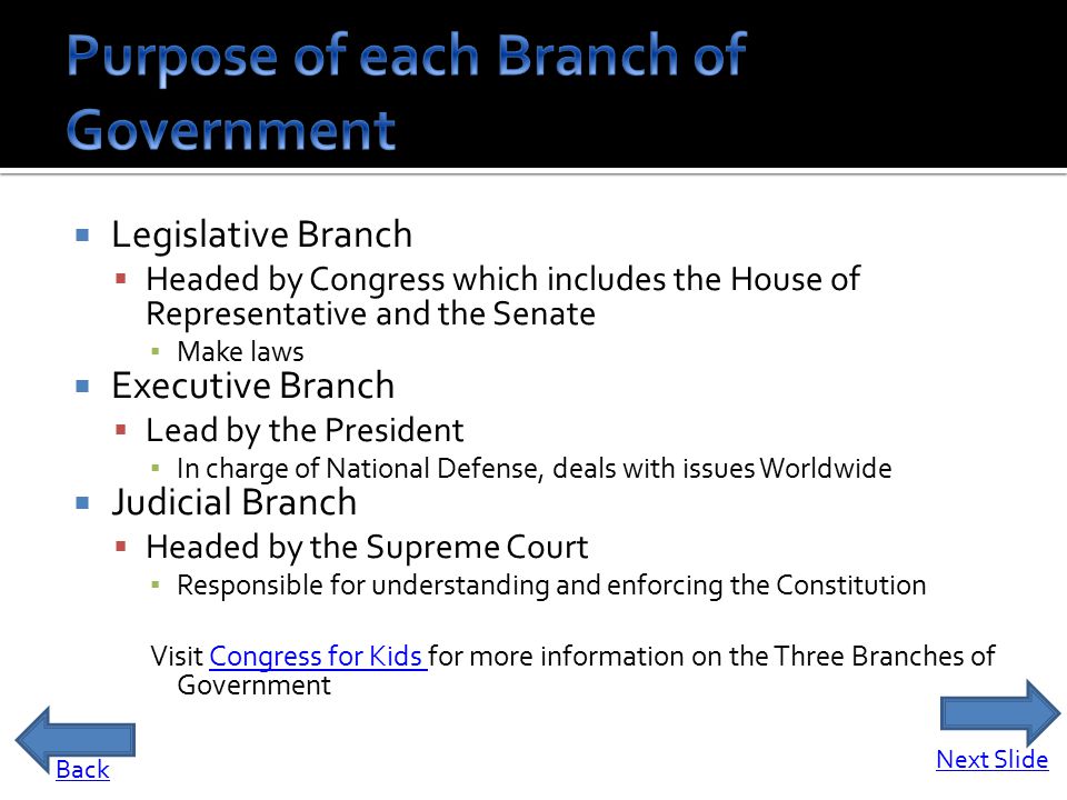 the purpose and function of a government the purpose and function of a government