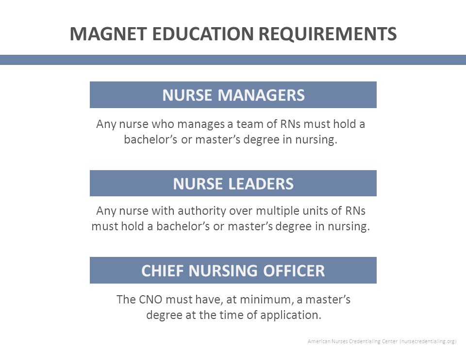 Any nurse who manages a team of RNs must hold a bachelor’s or master’s degree in nursing.