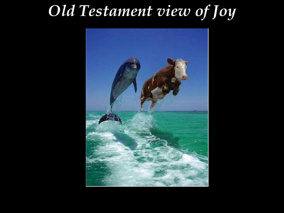 Old Testament view of Joy