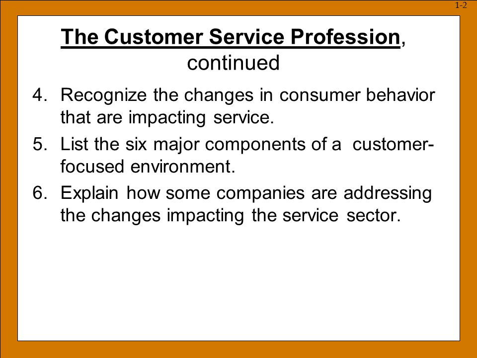 describe customer service