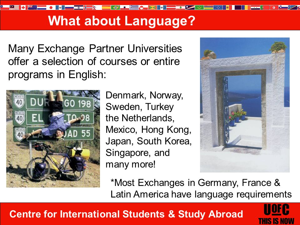 Centre for International Students & Study Abroad Many Exchange Partner Universities offer a selection of courses or entire programs in English: Denmark, Norway, Sweden, Turkey the Netherlands, Mexico, Hong Kong, Japan, South Korea, Singapore, and many more.