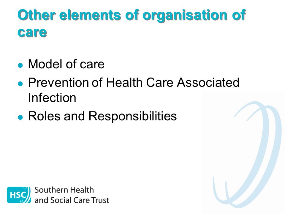 Other elements of organisation of care Model of care Prevention of Health Care Associated Infection Roles and Responsibilities