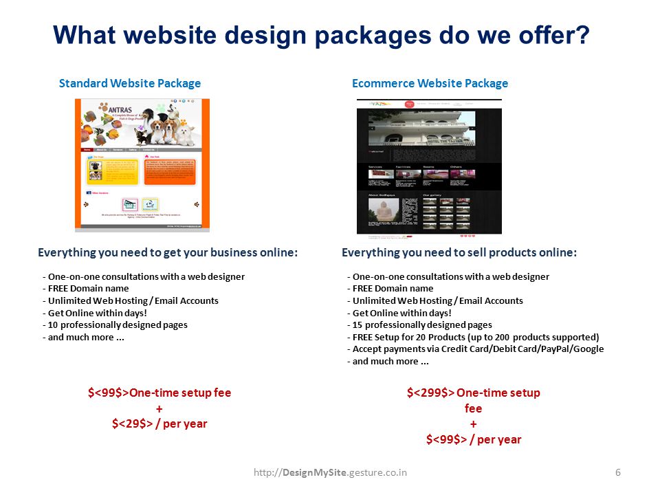 Standard Website PackageEcommerce Website Package What website design packages do we offer.