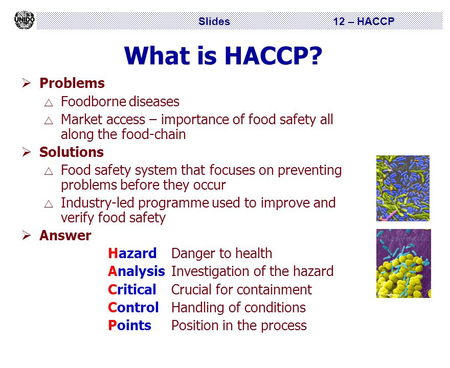 hazard analysis and critical control points essay If you run a food business, you must have a plan based on the hazard analysis and critical control point (haccp) principles. hazard analysis and critical control points essay If you run a food business, you must have a plan based on the hazard analysis and critical control point (haccp) principles.