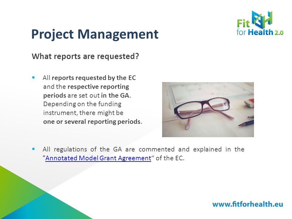 Project Management What reports are requested.