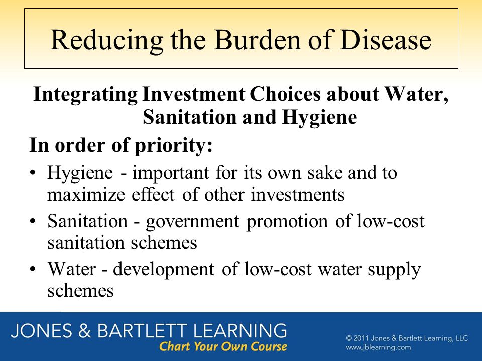 Reducing the Burden of Disease Integrating Investment Choices about Water, Sanitation and Hygiene In order of priority: Hygiene - important for its own sake and to maximize effect of other investments Sanitation - government promotion of low-cost sanitation schemes Water - development of low-cost water supply schemes