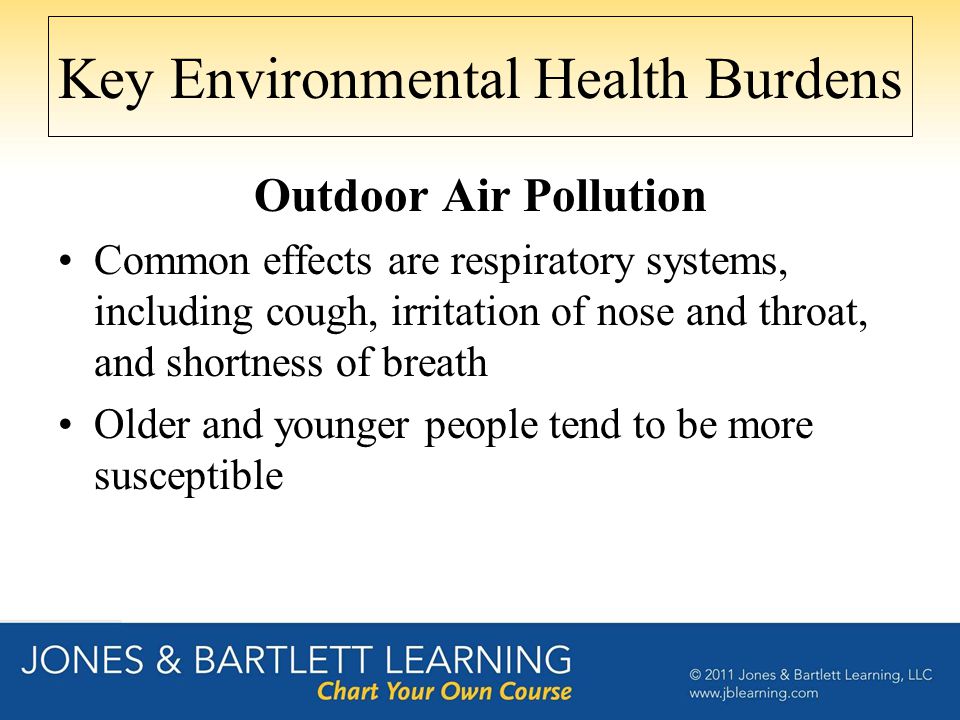 Key Environmental Health Burdens Outdoor Air Pollution Common effects are respiratory systems, including cough, irritation of nose and throat, and shortness of breath Older and younger people tend to be more susceptible