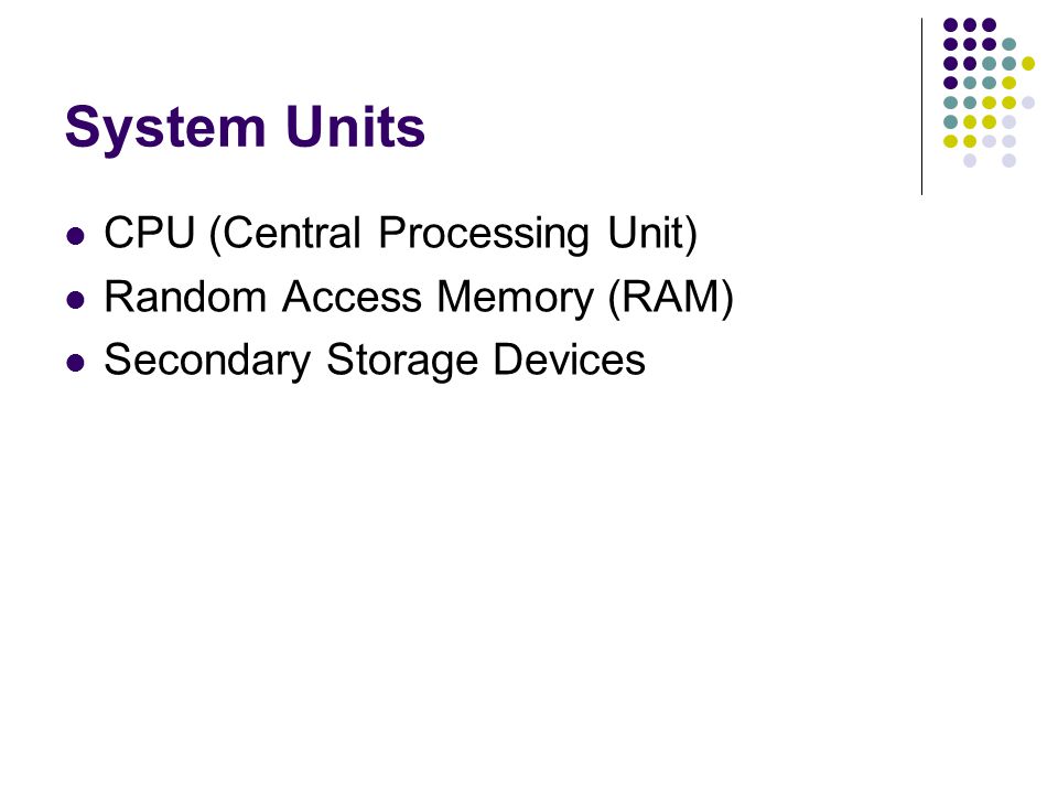 System Units CPU (Central Processing Unit) Random Access Memory (RAM) Secondary Storage Devices