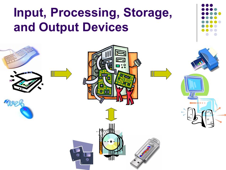 Input, Processing, Storage, and Output Devices