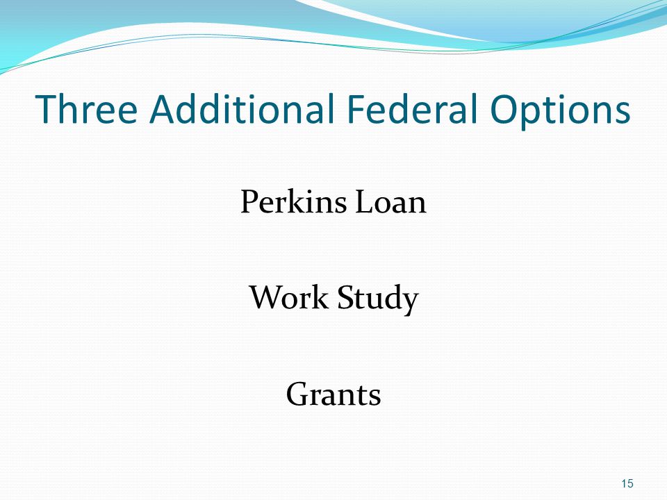 Three Additional Federal Options Perkins Loan Work Study Grants 15